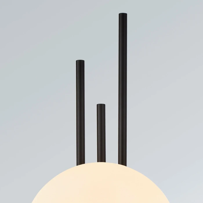 810597 Lightstar