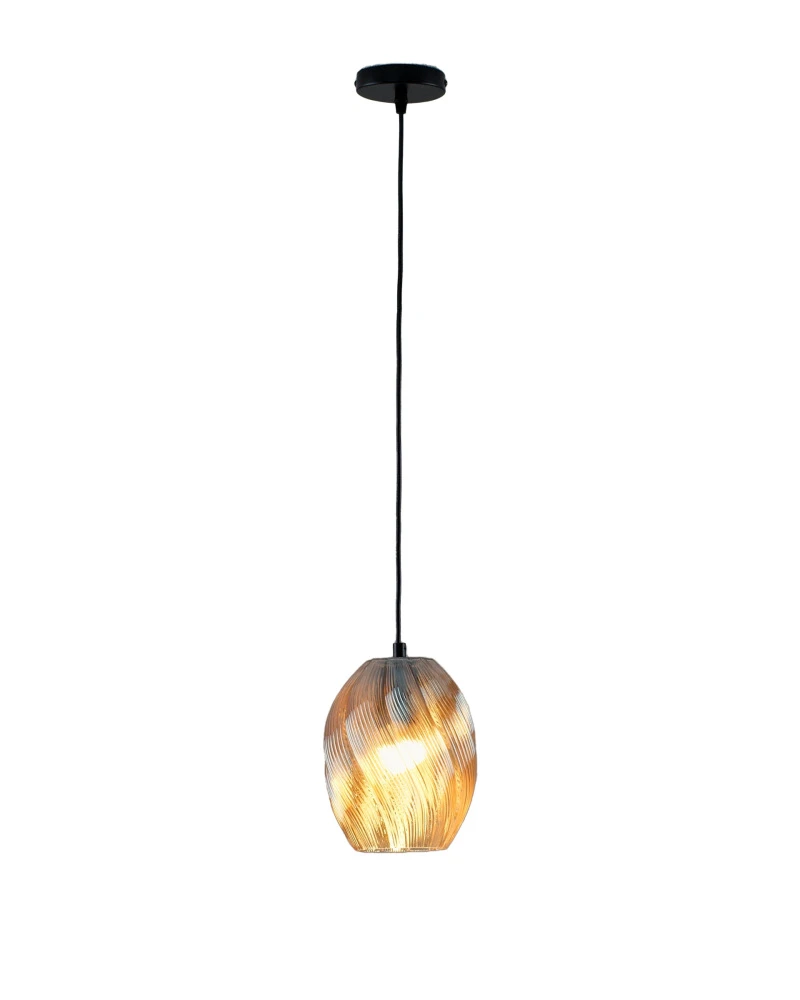 V11664-1P Moderli