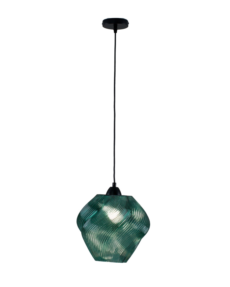 V11661-1P Moderli