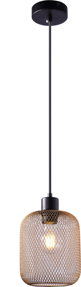 V11035-1P Moderli