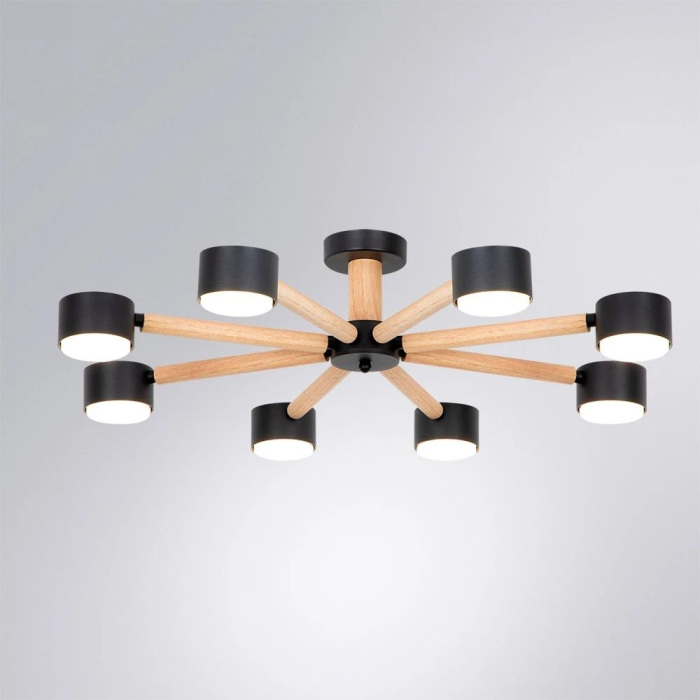A1624PL-8BK Arte Lamp