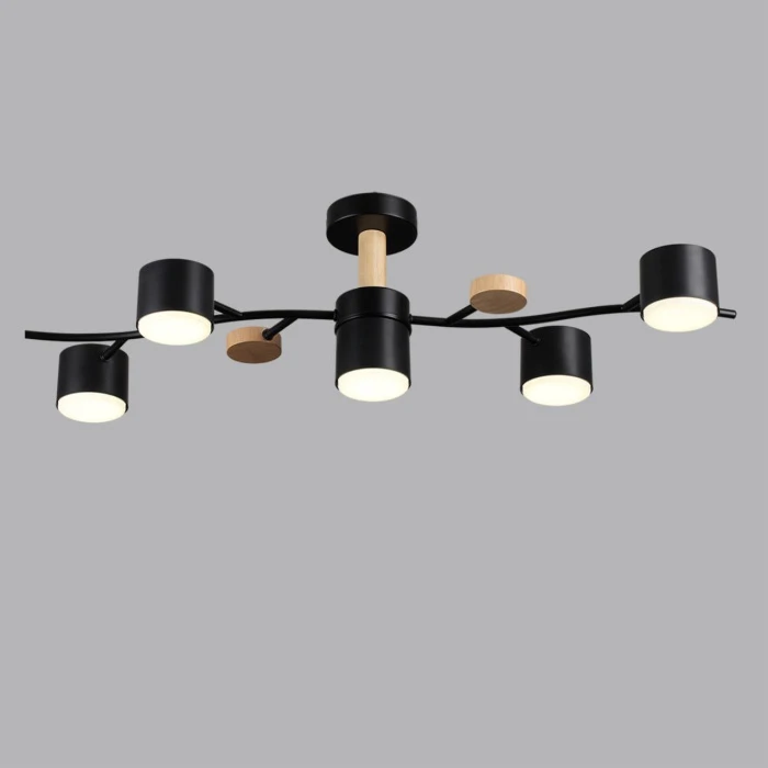 8194/5C Lumion