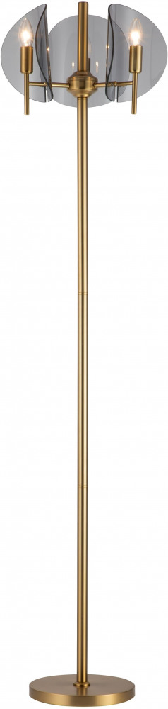 V7092-3F Moderli