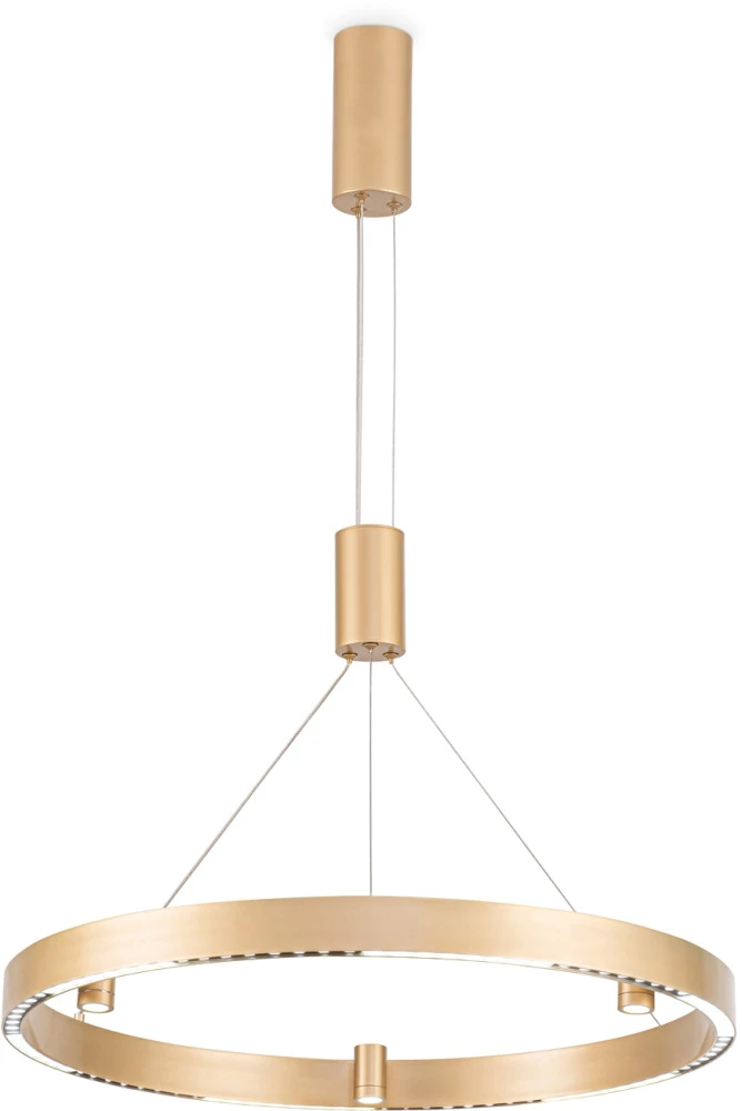 FL5846 Ambrella