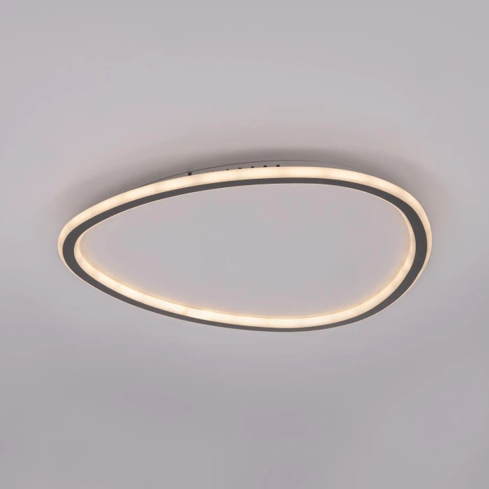 CL215B251E Citilux