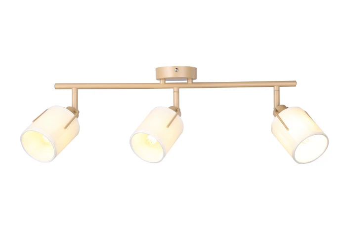 V11855-3C Moderli