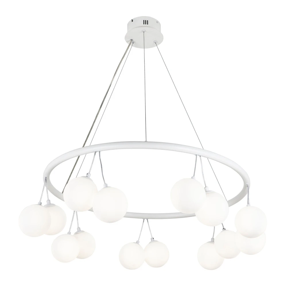 MS.6120.14 WH Modelux
