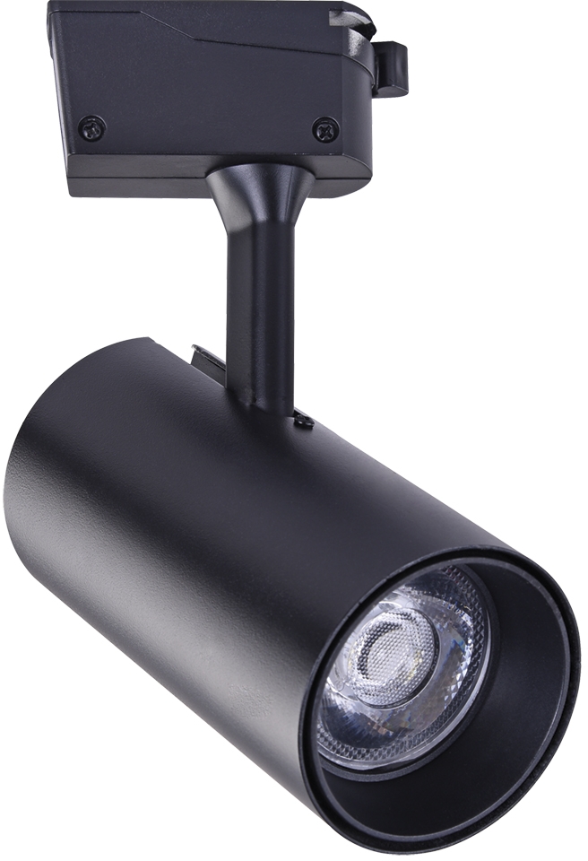 A2665PL-1BK Arte Lamp