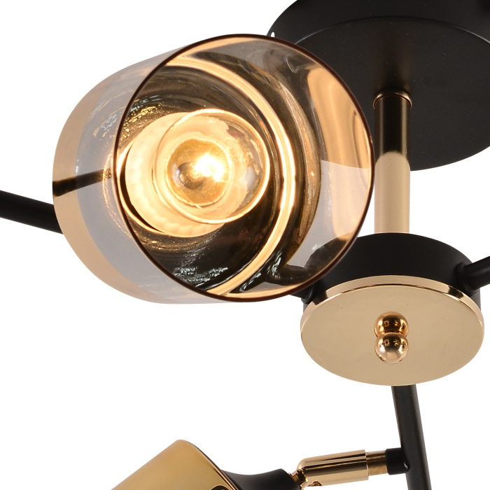 01555-3.3-06B BK+FGD_