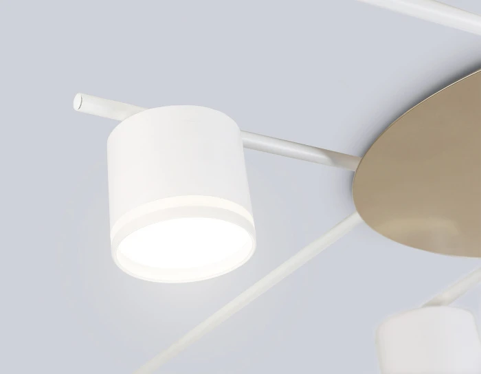 FL51759 Ambrella