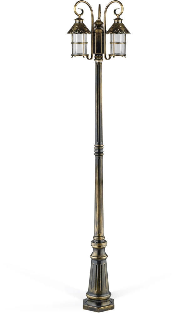 81509B/18 Gb Oasis Light