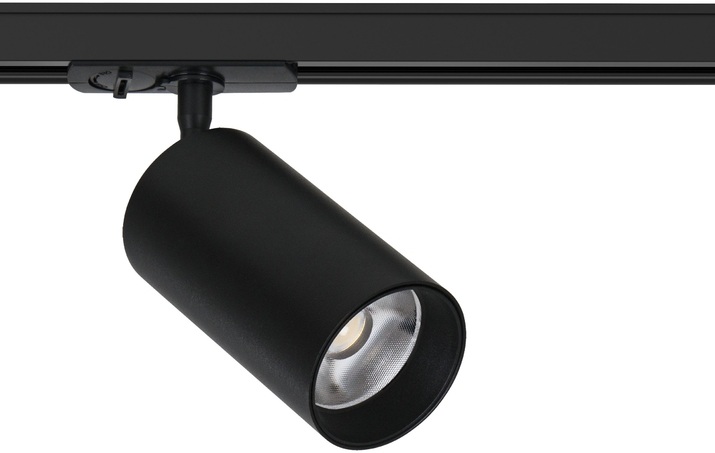 A1337PL-1BK Arte Lamp
