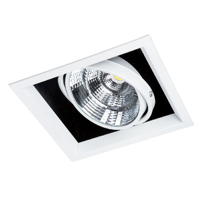 A8450PL-1WH Arte Lamp