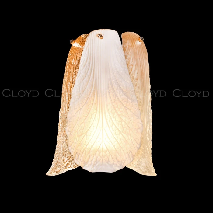 20416 Cloyd