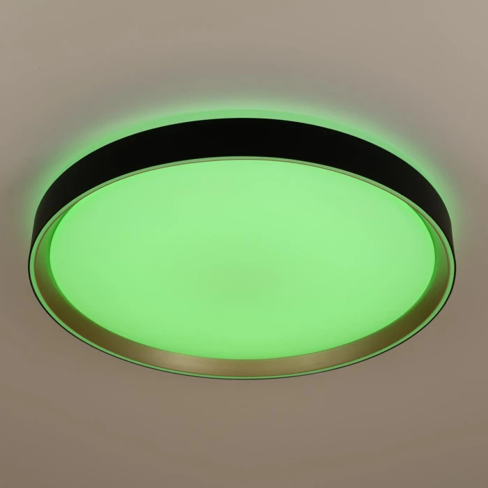 CL751451G Citilux