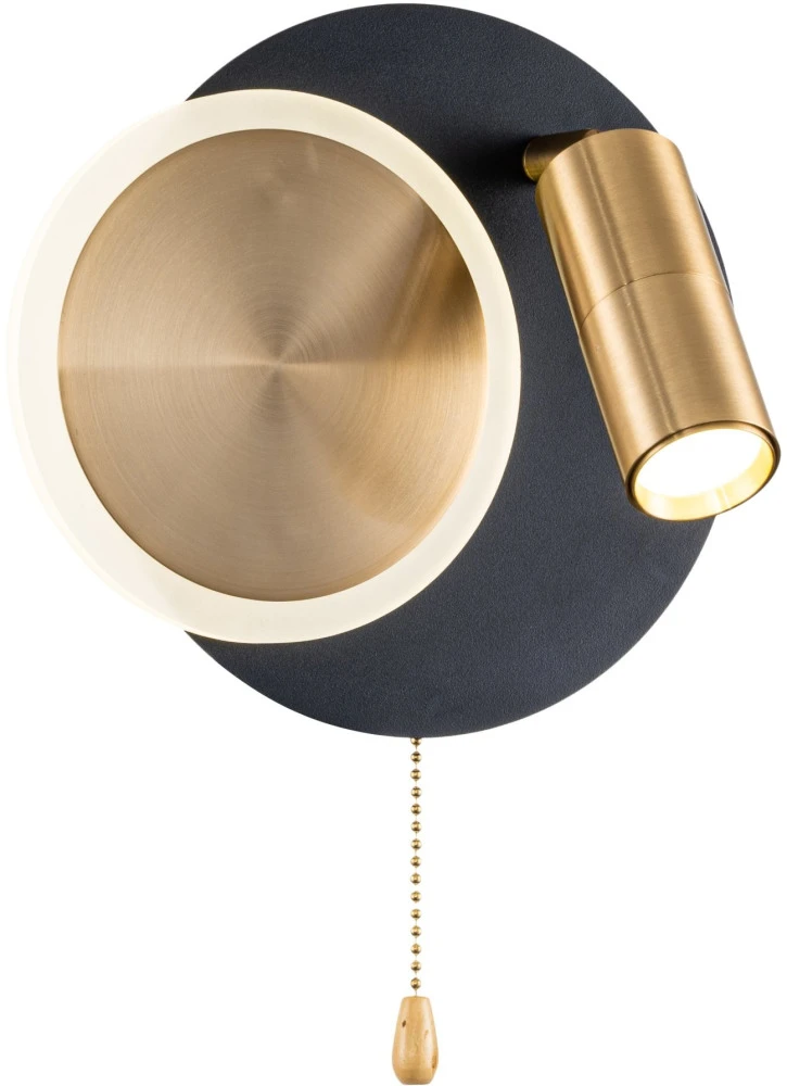 A2213AP-2BK Arte Lamp