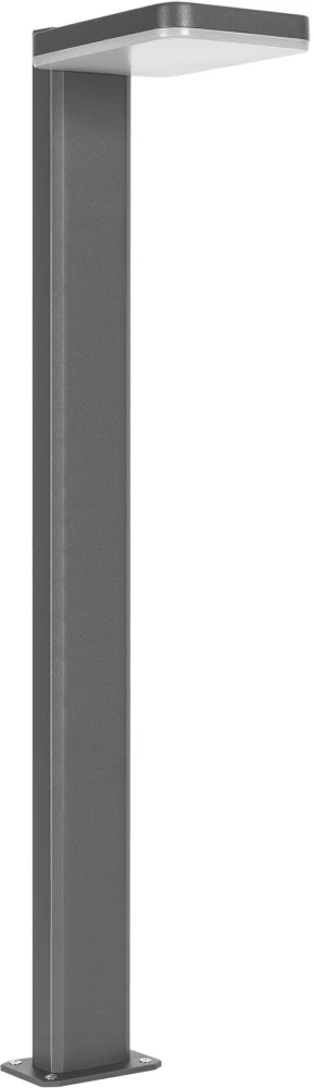 029978 Arlight