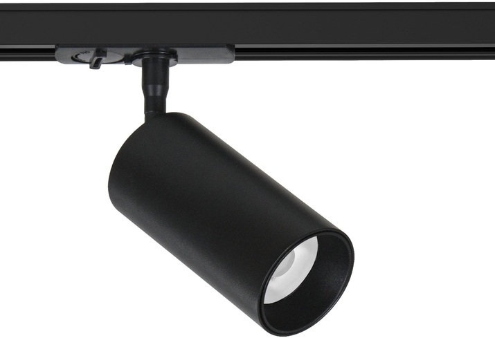 A1336PL-1BK Arte Lamp