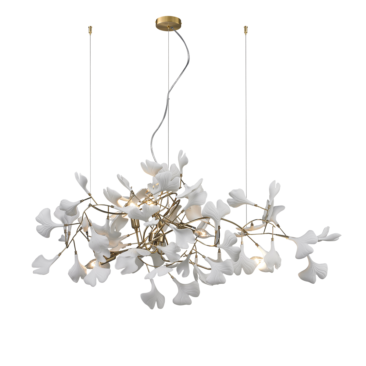 10881P/L800 gold/white Delight Collection