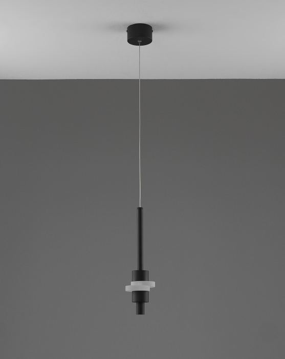 V11641-PL