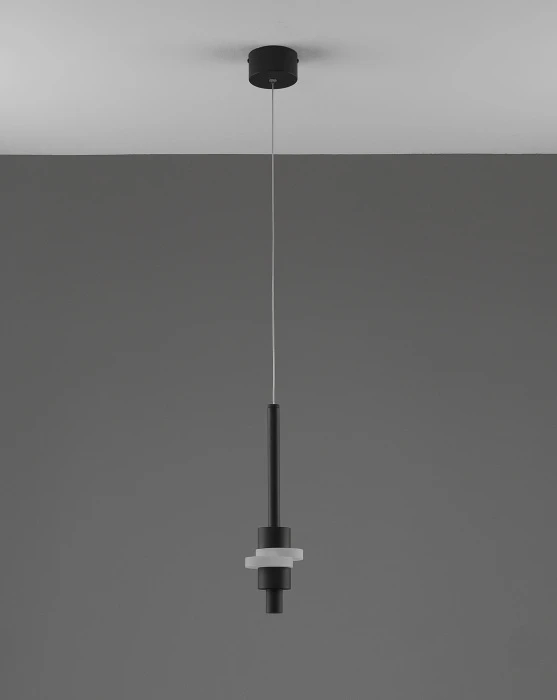 V11641-PL