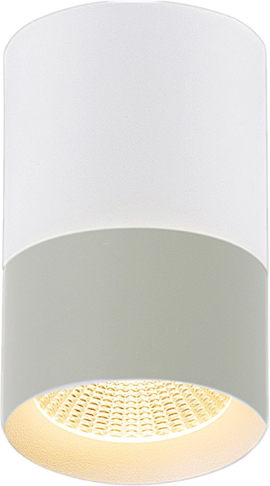 30410-9.5-001RT LED10W WT_