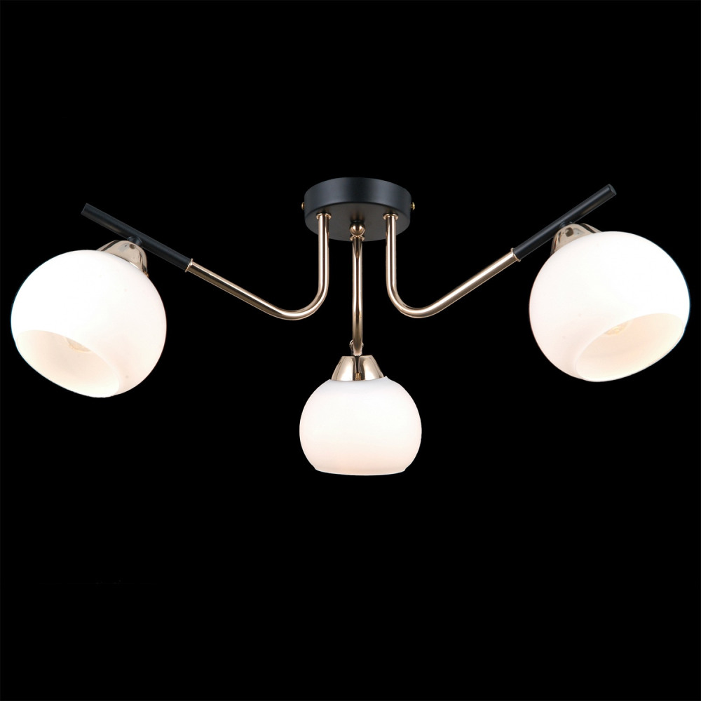 IL0713-3CSQ-24 BK FGD LIBRA_