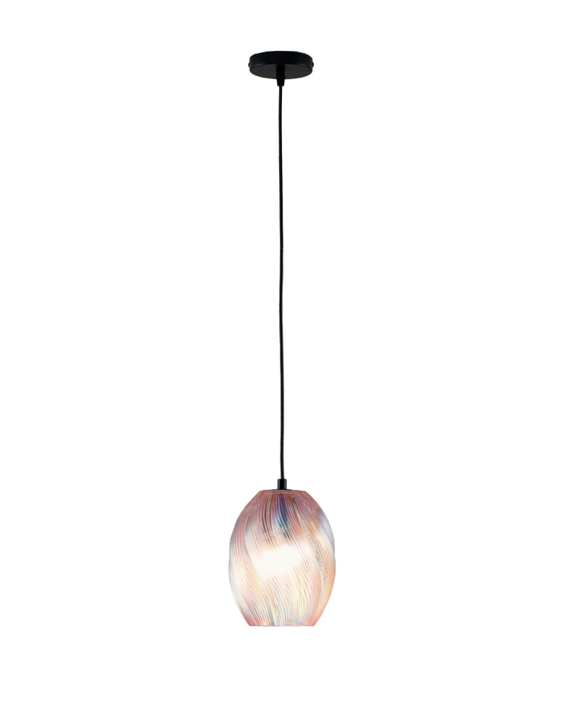 V11663-1P Moderli