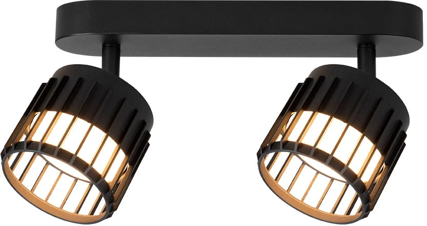 A8031PL-2BK Arte Lamp