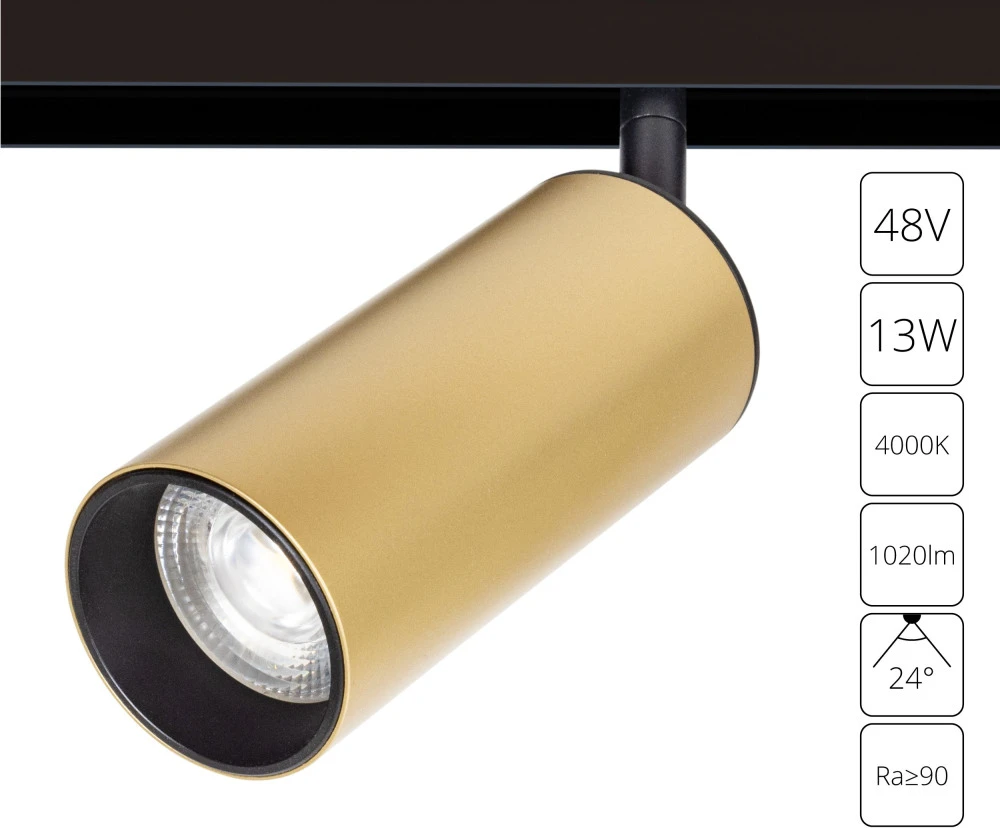 A4661PL-1SG Arte Lamp