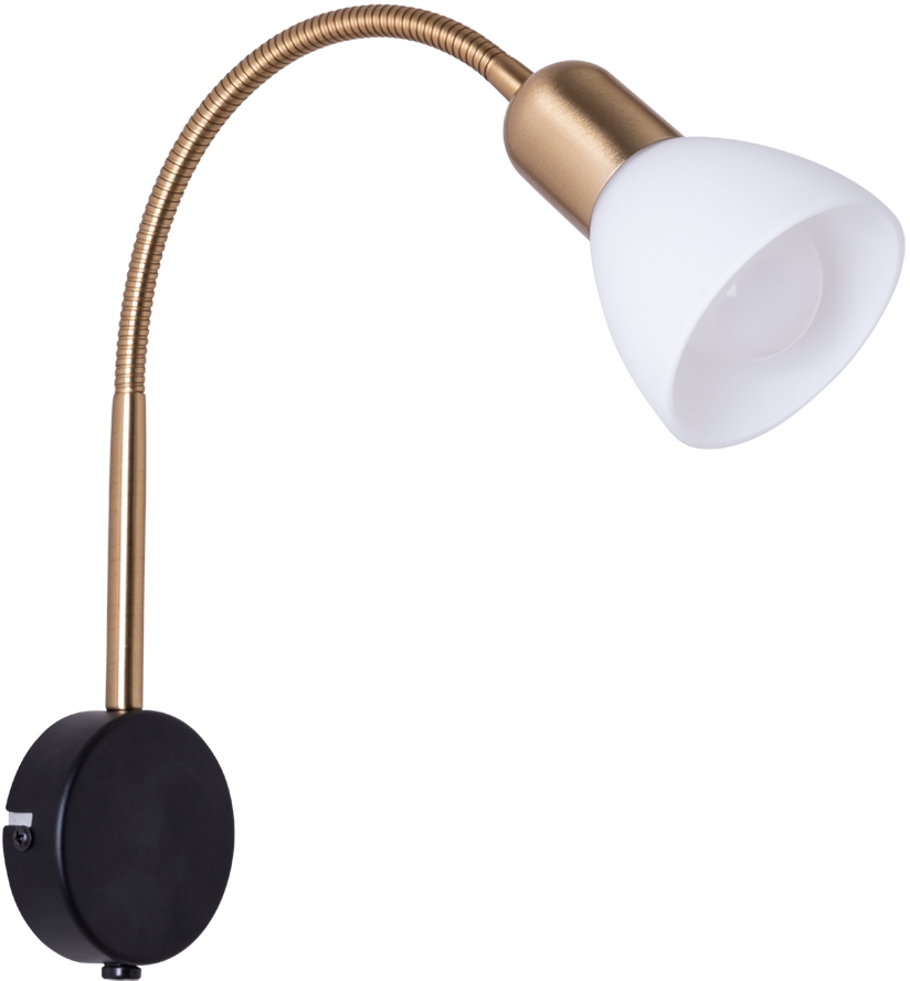 A3116AP-1BK Arte Lamp