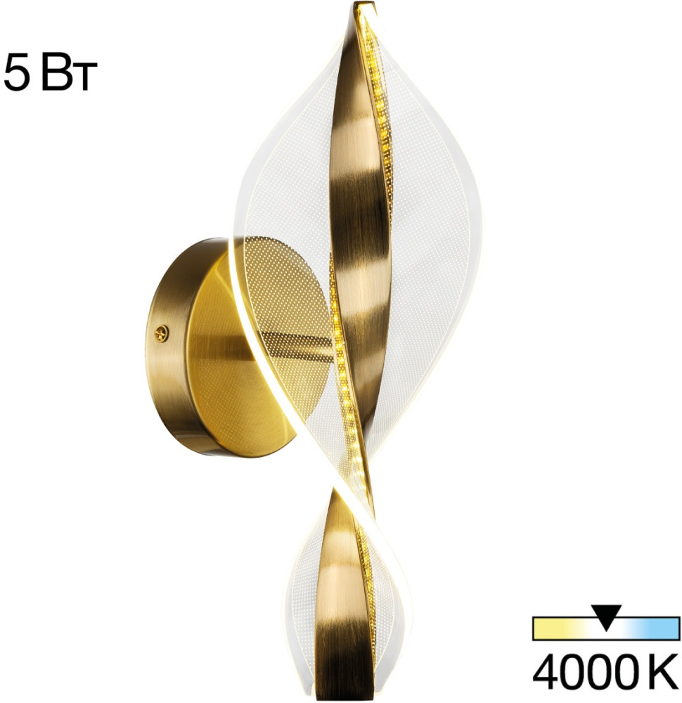 CL214311 Citilux