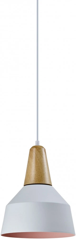 V1560-1P Moderli