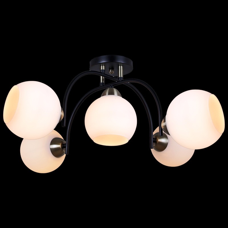 IL0250-5CSQ-79 BK AB_