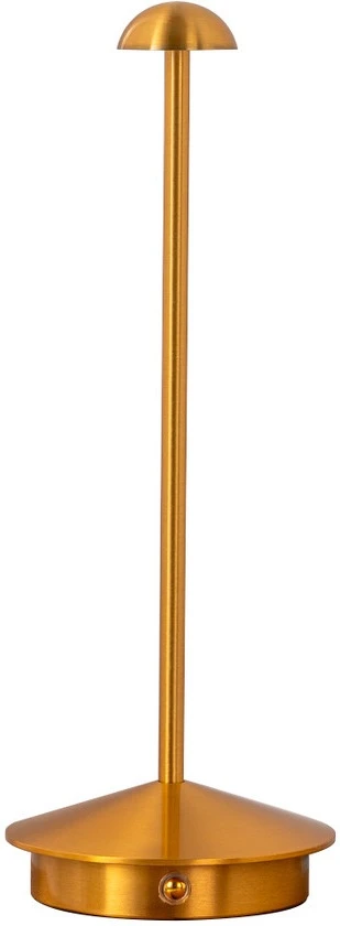 07208-T,20 Kink Light
