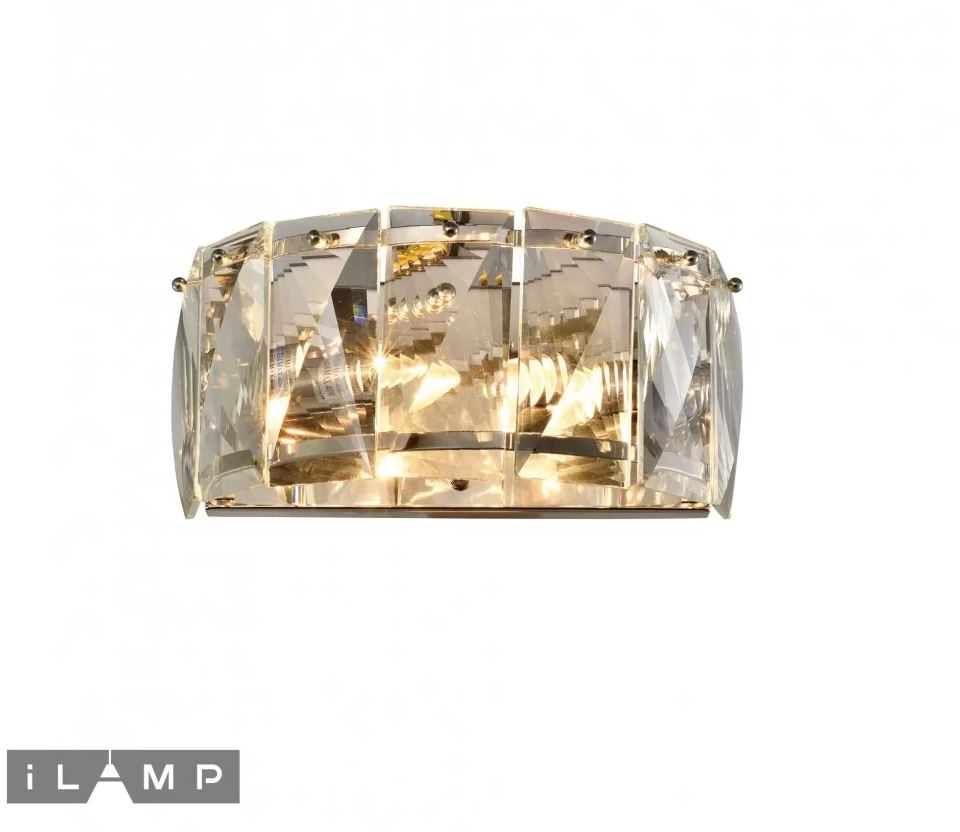 W2550-2 NIC iLamp