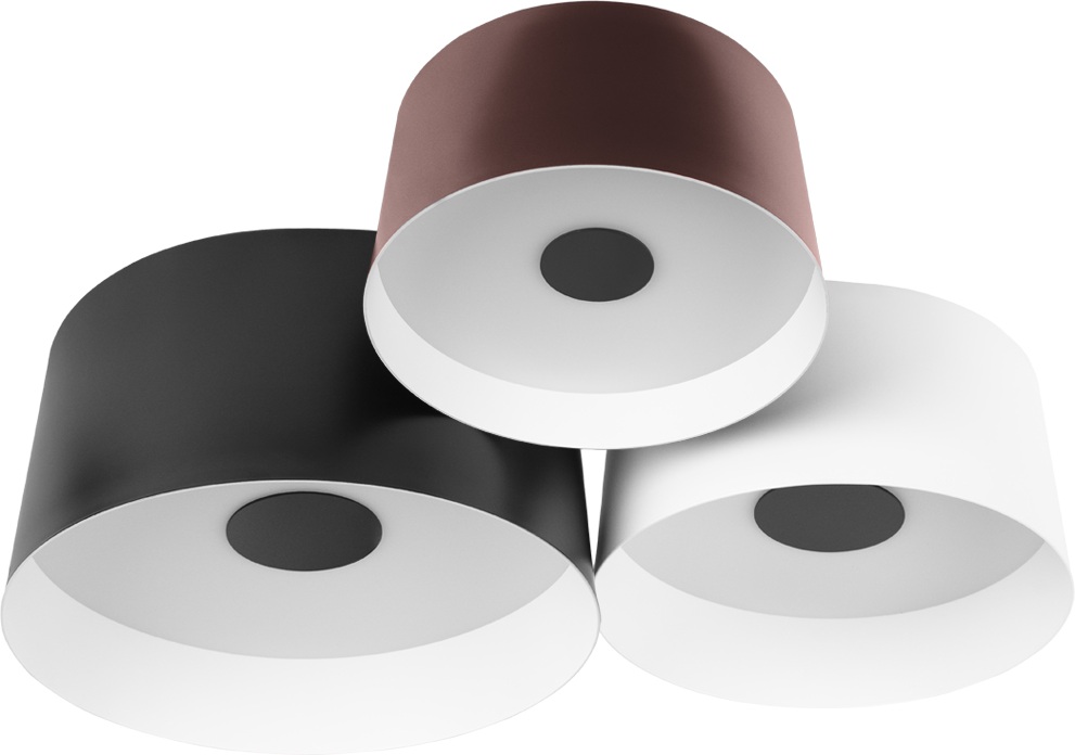 Потолочный светильник Duo 10360/3 Loft It